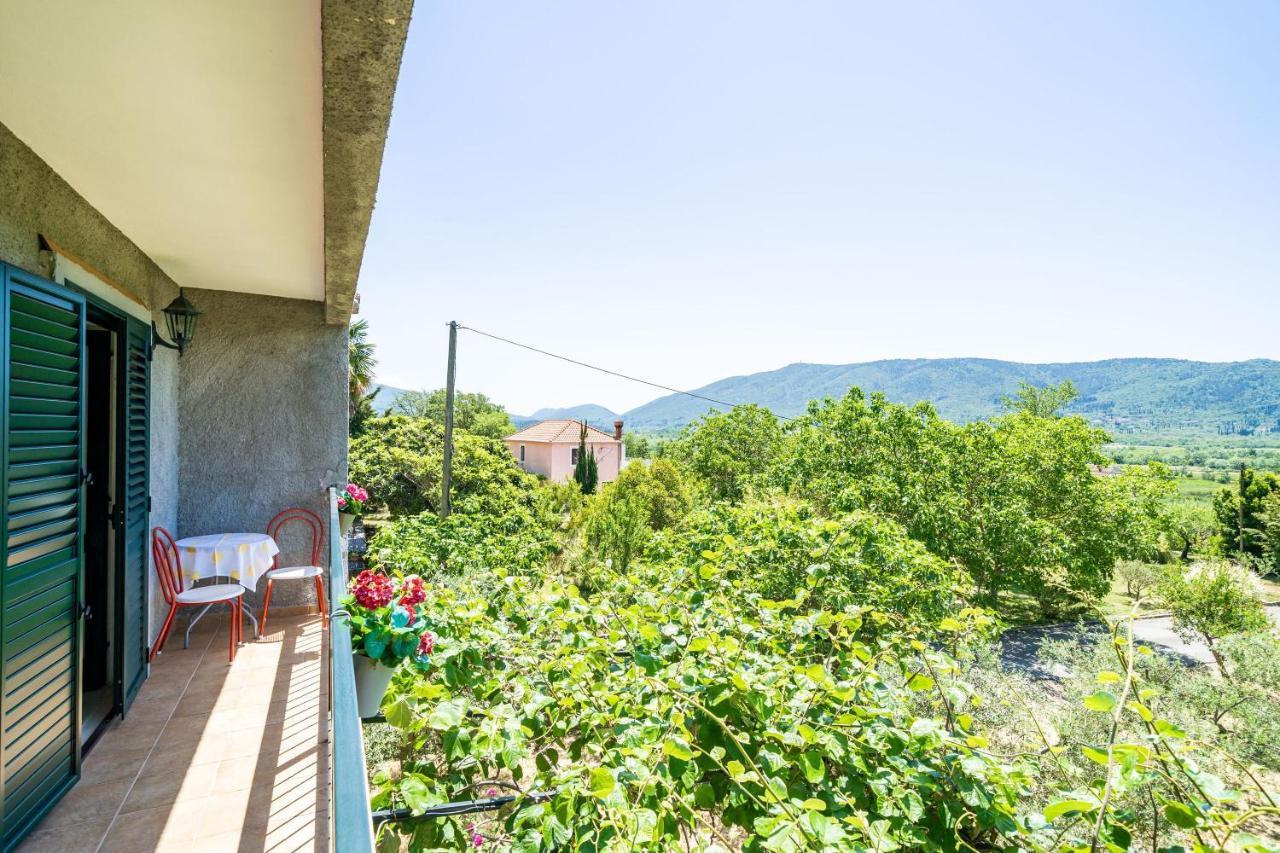 Apartment Laurel Leaf Lovorno Exterior photo